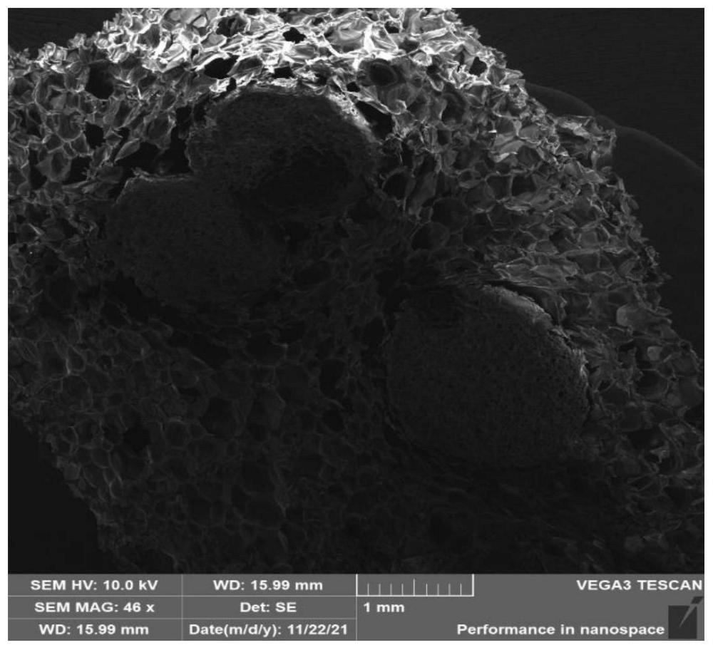 一種改性可發(fā)性聚苯乙烯顆粒、制備方法及其應(yīng)用