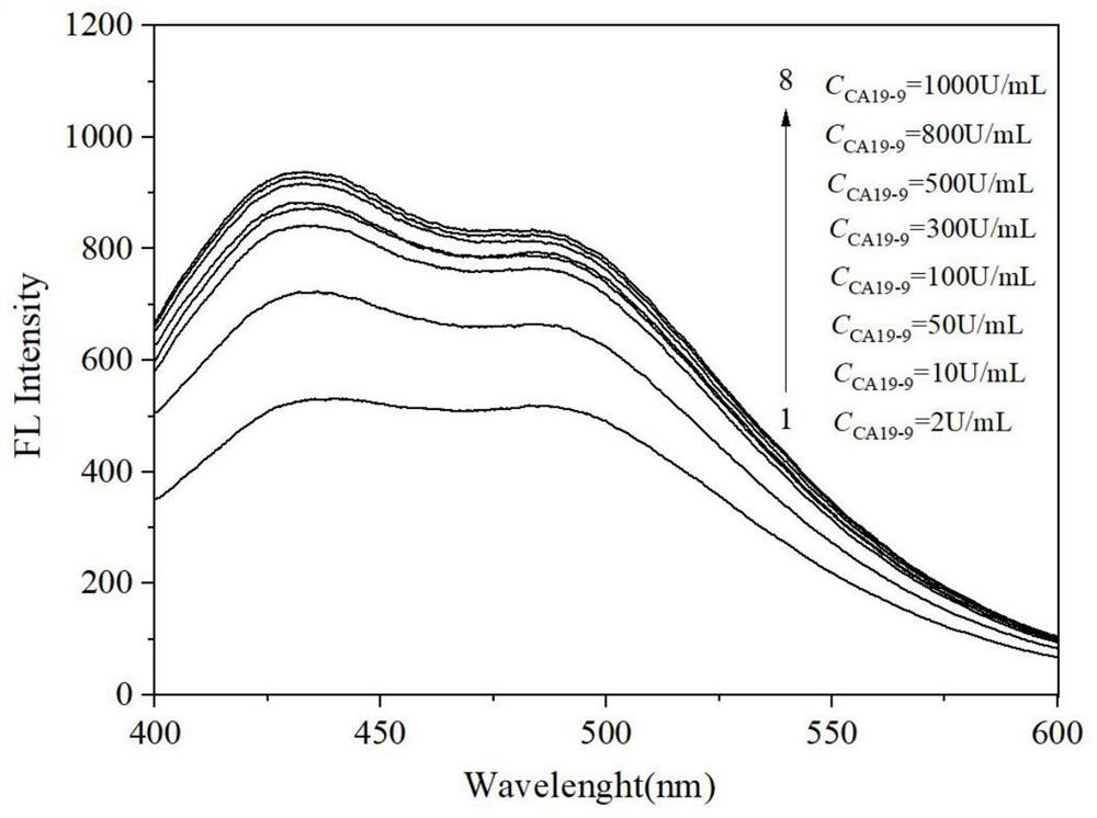 磁分離熒光增強型適配體傳感器檢測腫瘤標志物CA19-9的方法