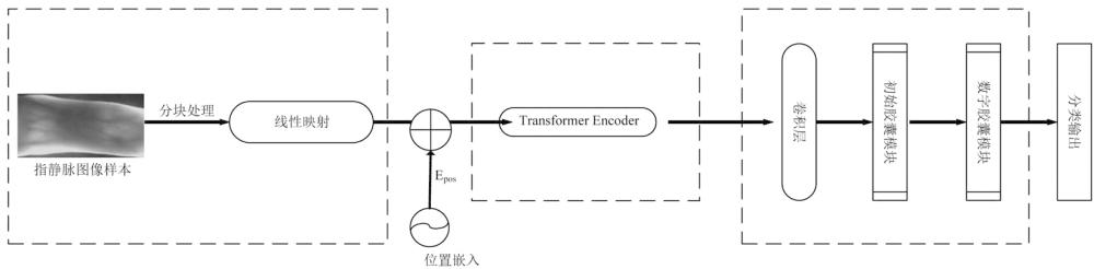 指靜脈識(shí)別模型訓(xùn)練方法及識(shí)別方法、系統(tǒng)和終端