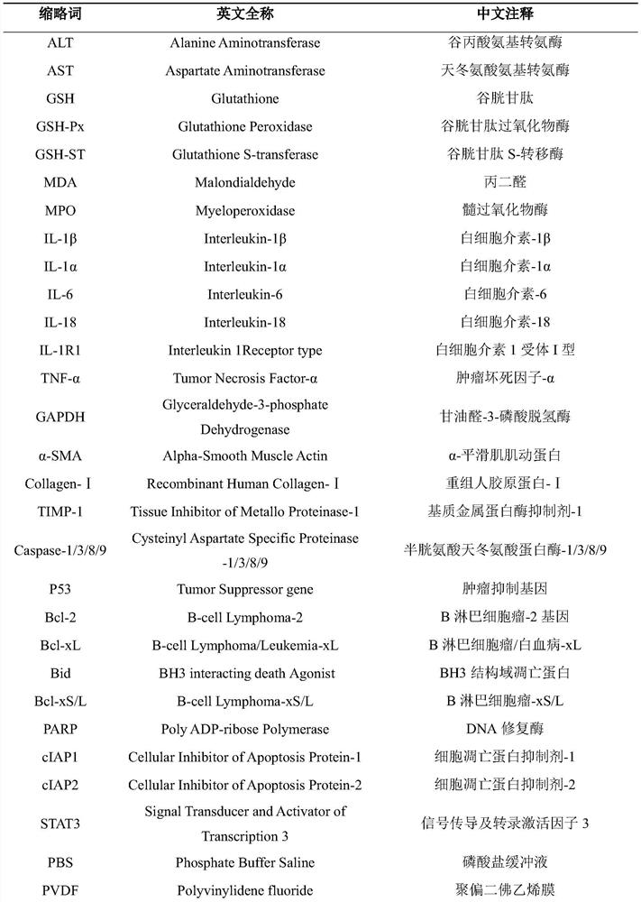 一種寒蔥飲料及其制備方法與應用