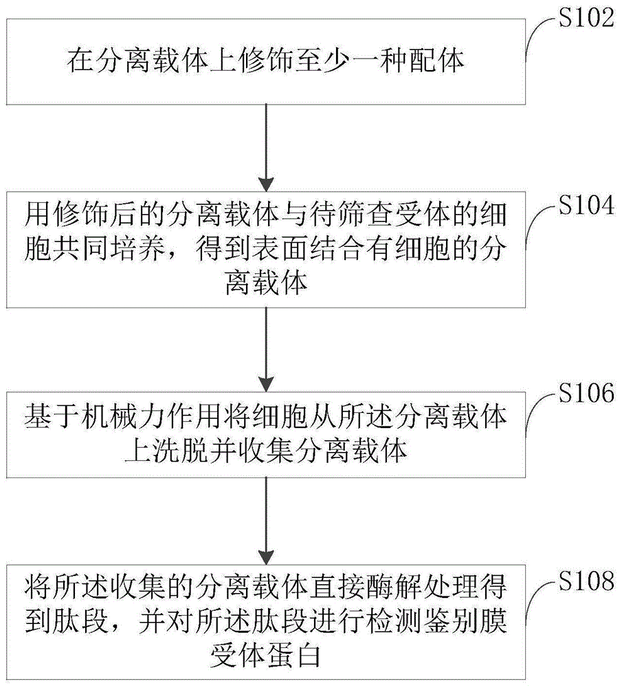 一種細胞的膜受體蛋白鑒別方法以及驗證方法