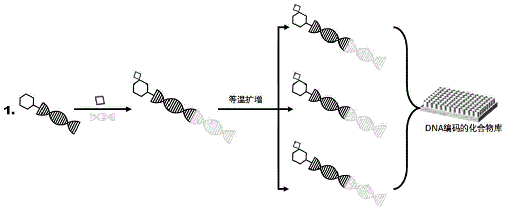 一種DNA編碼化合物庫藥物分子垂釣方法