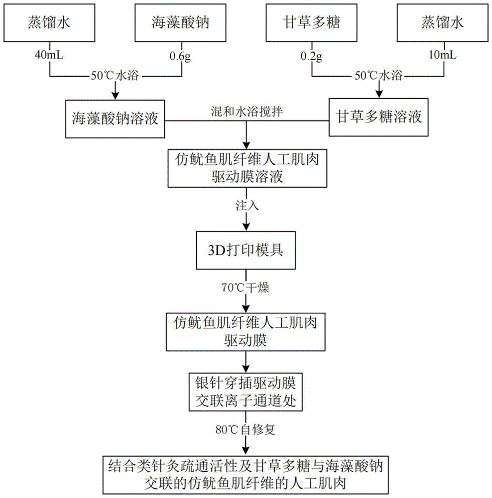 一種類針灸仿魷魚(yú)肌纖維的人工肌肉輸出力改善工藝